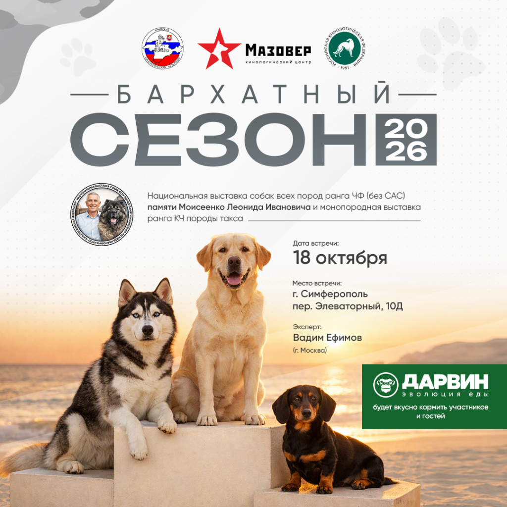 «Бархатный сезон 2026»: национальная выставка собак всех пород ЧФ